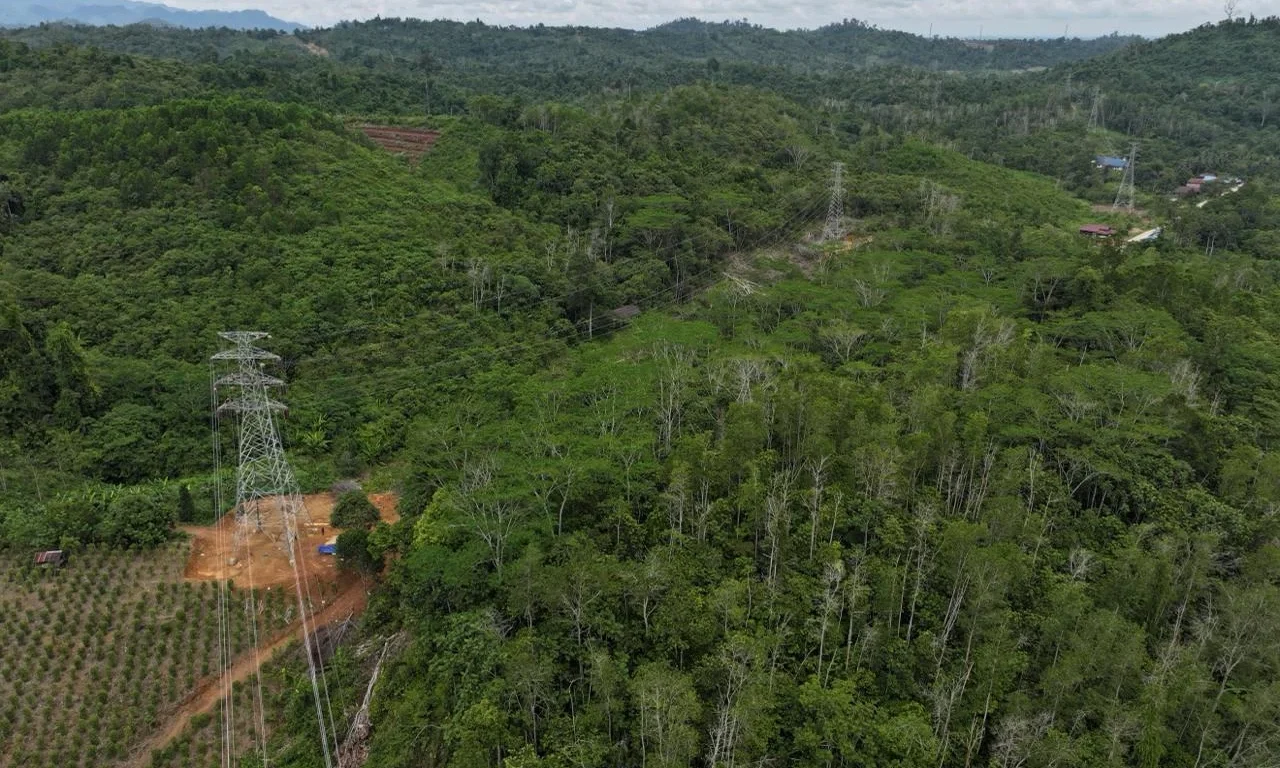 Jalur transmisi SUTT 150 kV Redeb-Talisayan di Berau. PLN terus berkolaborasi dengan BPN untuk memperkuat legalitas hukum lahan tapak tower melalui proses pemetaan yang akurat.