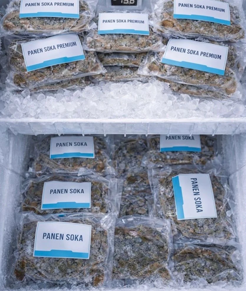 Stok kepiting soka hasil budidaya yang telah dikemas dan siap dipasarkan. Berkat metode RAS, Kelompok "Seloka Crabs" kini mampu menghasilkan produk berkualitas premium dengan volume produksi yang stabil.