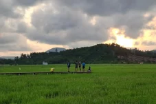Hamparan Sawah 1.000 Hektare Jadi Agrowisata, Kampung Buyung-Buyung Bakal Punya Destinasi Edukasi Baru