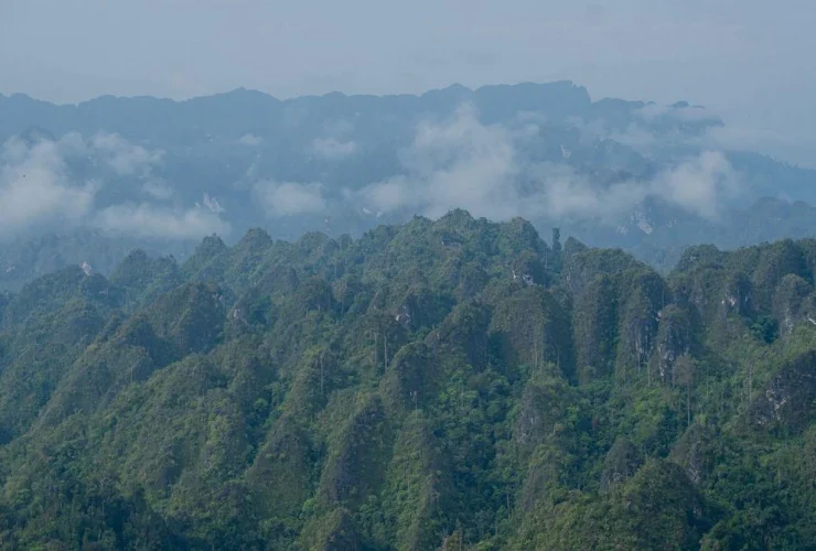 Targetkan Jadi Pusat Riset Dunia, Bupati Berau Siapkan Karst Sangkulirang-Mangkalihat untuk Ilmuwan Global