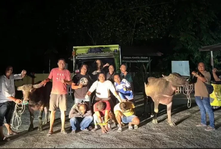 4 Pencuri Kerbau Dibekuk di Gunung Tabur, Polisi Amankan Truk Pengangkut