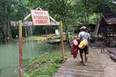 Ini Cara Tempuh Perjalanan ke Kampung Merabu Berau, Buat Nikmati Danau Nyadeng dan Goa Bloyot
