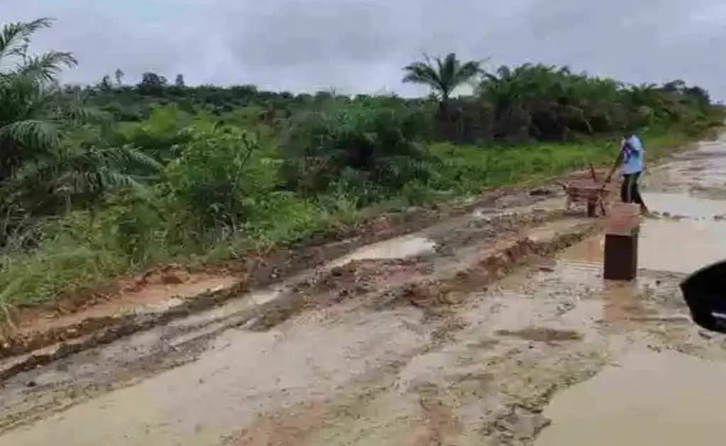 Tangkapan layar video kondisi ruas jalan poros Kampung Tepian Buah, Segah, Berau yang mengalami kerusakan. (Ist)