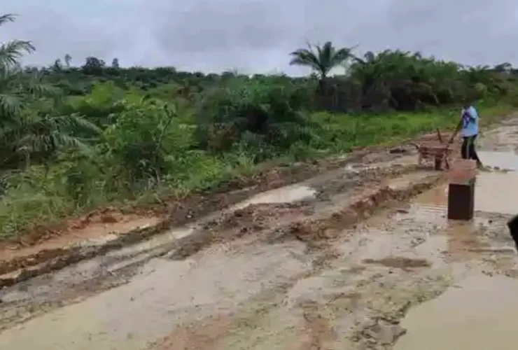 DPUPR Berau Jawab Desakan Perbaiki Jalan Poros Kampung Tepian Buah Segah