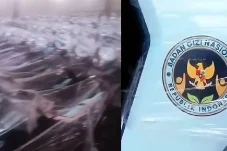 Viral Deretan Motor Listrik Berlogo BGN, Dadan Hindayana Sebut untuk Kepala SPPG