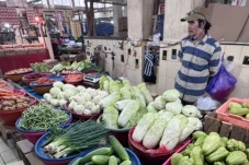 Lapak Sayur di Kota Menjamur, Pedagang di Pasar Sanggam Adji Dilayas Keluhkan Penurunan Omzet