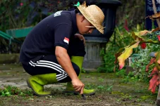 Referensi Jasa Taman Jogja Terbaik Untuk Pembuatan Rumah