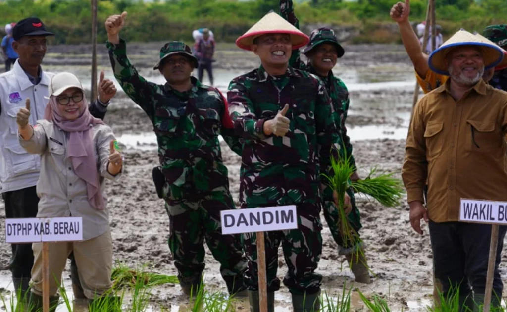 Gerakan Tanam Padi Serentak di lokasi CSR (Cetak Sawah Rakyat) Kampung Labanan Jaya, Kecamatan Teluk Bayur, Berau (Ist)