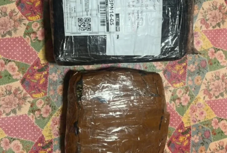Ganja 1 Kg Dikirim Pakai Jasa Ekspedisi, Polisi Balikpapan Kaltim Buru Jaringan Lintas Daerah