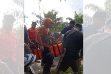 Lagi Panen Karet, Perempuan Paruh Baya di PPU Kaltim Tewas Diterkam Buaya