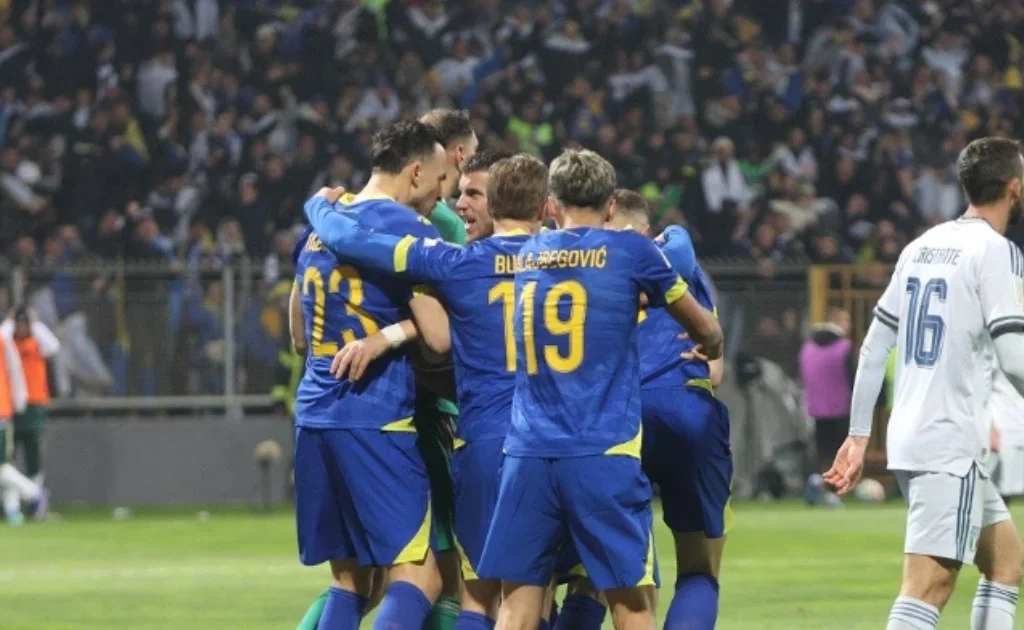 Skuad Timnas Bosnia dan Herzegovina. (nfsbih.ba)