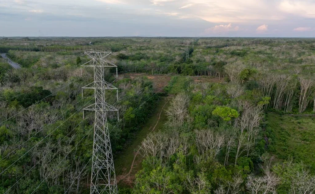 Ilustrasi jaringan SUTT 150 kV di wilayah kerja PLN UIP KLT yang menjadi bagian dari infrastruktur strategis dalam mendukung keandalan sistem kelistrikan di Kalimantan.