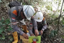 Langkah Awal Penguatan Sistem, PLN Survei Jalur Transmisi GI Tanjung Redeb – PLTG Kaltim/Kaltara