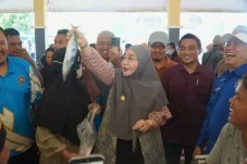 Diserbu Warga Sejak Subuh, Pasar Ikan Murah Jadi Senjata Berau Tekan Inflasi dan Stunting