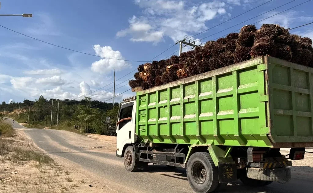 Aktivitas truk pengangkut TBS di Kampung Bukit Makmur, Kecamatan Segah. (Zuhrie/BT)