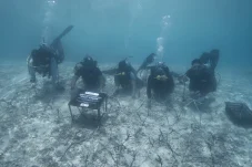 Pantau Cuaca Berau Hari Ini Sebelum Liburan, Maratua dan Derawan Aman Buat Nyelam