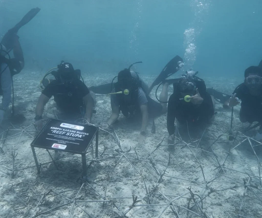 Kegiatan transplantasi terumbu karang yang dilaksanakan PT Berau Coal bersama mitra dan berbagai pemangku kepentingan di perairan Pulau Maratua pada 1–2 Mei 2026.