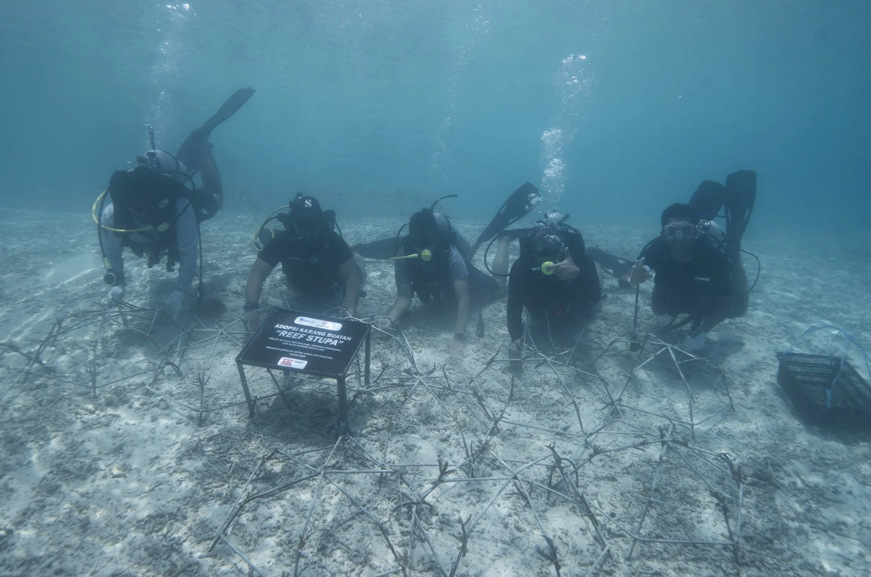 Pantau Cuaca Berau Hari Ini Sebelum Liburan, Maratua dan Derawan Aman Buat Nyelam