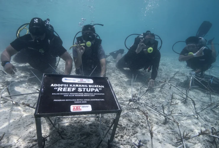 Kolaborasi PT Berau Coal dan Multistakeholder Jaga Kelestarian Laut Maratua lewat Transplantasi Terumbu Karang