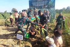 Dukung Program Sejuta Pohon Kodam VI/Mulawarman, Kodim Berau Tanam 2.000 Pohon