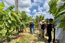 Pemuda Tanjung Redeb Belajar Budidaya Kakao, Siapkan Urban Farming Jadi Potensi Ekonomi Baru