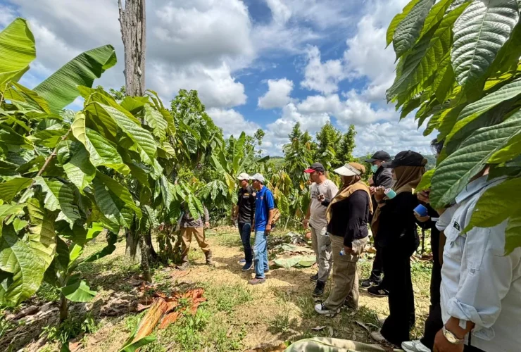 Pemuda Tanjung Redeb Belajar Budidaya Kakao, Siapkan Urban Farming Jadi Potensi Ekonomi Baru