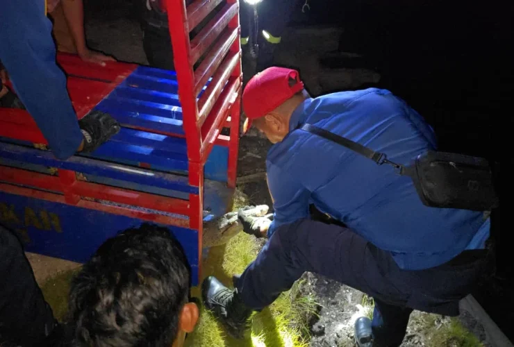 Buaya Muara Masuk Garasi Bus, Tim Damkar Lakukan Evakuasi Dilepas ke Habitat Alami