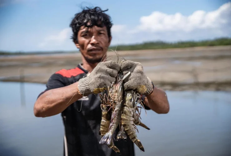 Terobosan Ekonomi Biru, Petambak Kini Bisa Akses Benur Unggul dan Pinjaman Bunga 0 Persen