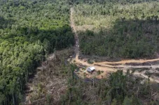 Dituding Serobot Lahan PT SAKA, Ketua Kelompok Tani Tantang Manajemen Buka Semua Izin