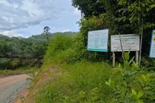 Buntut Video Viral Penangkapan Orangutan, PT GPM Klaim Langsung Evaluasi Internal