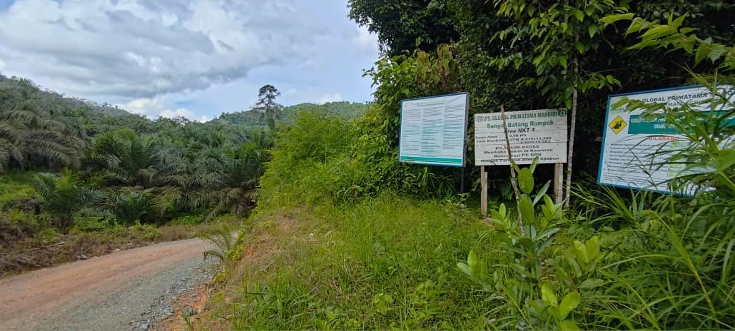 Buntut Video Viral Penangkapan Orangutan, PT GPM Klaim Langsung Evaluasi Internal