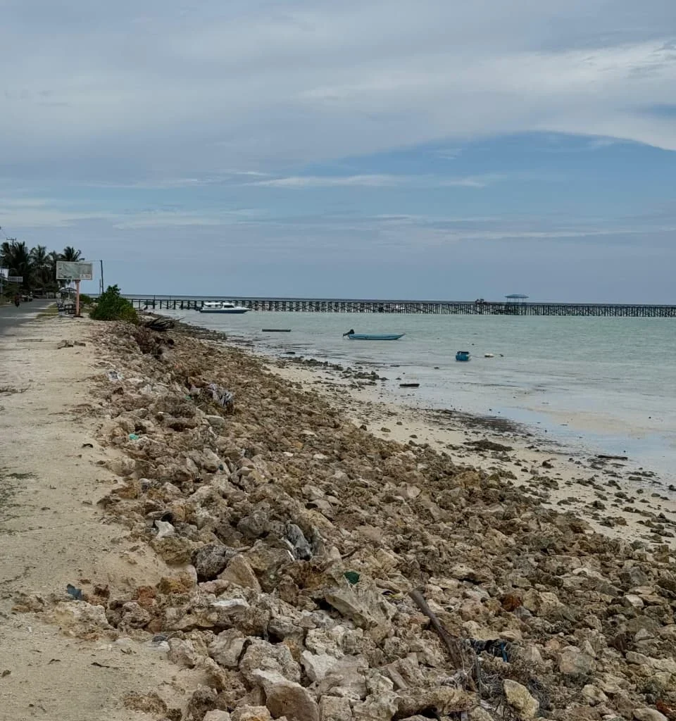 Kondisi pantai di Kampung Payung-Payung, Kecamatan Maratua, yang terus tergerus akibat abrasi. (IST)