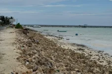 Belum Tersentuh Penanganan, Warga Teluk Harapan Khawatir Kehilangan Sumber Air Bersih Akibat Abrasi