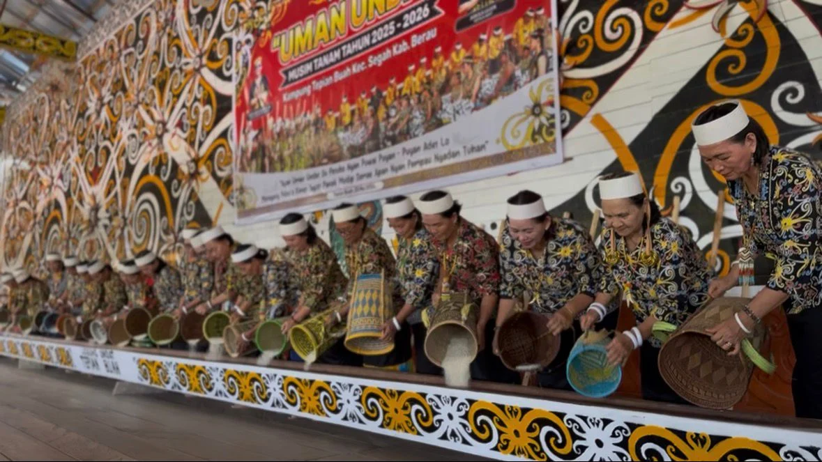 Mengenal Uman Undat: Tradisi Syukur Panen Padi Suku Dayak Kenyah Lepoq yang Lestari Tiap Tahun