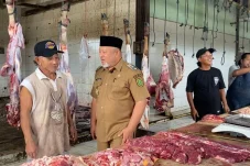 Sidak RPH Gunung Tabur Jelang Iduladha, Gamalis Soroti Penurunan Pemotongan Sapi dan Kerusakan IPAL