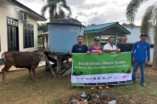Iduladha Penuh Kepedulian, Berau Coal dan Mitra Kerja Bagikan 198 Hewan Kurban