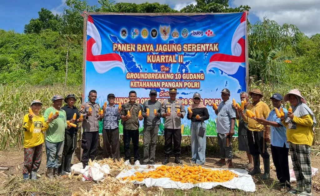 Panen Raya Jagung di Sambaliung, Polres Berau Hasilkan 3 Ton untuk Dukung Ketahanan Pangan (Ist)