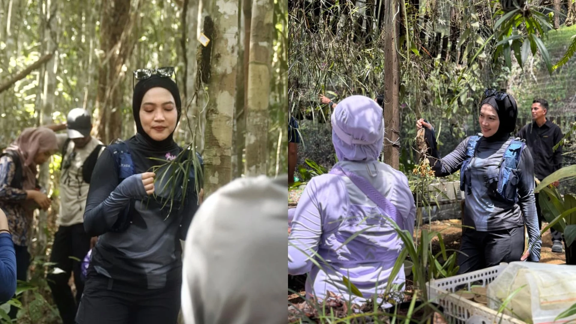 Wisata Hutan Anggrek Dibuka Bulan Depan, Wisatawan Bisa Adopsi Flora Langka Kalimantan Nyaris Punah