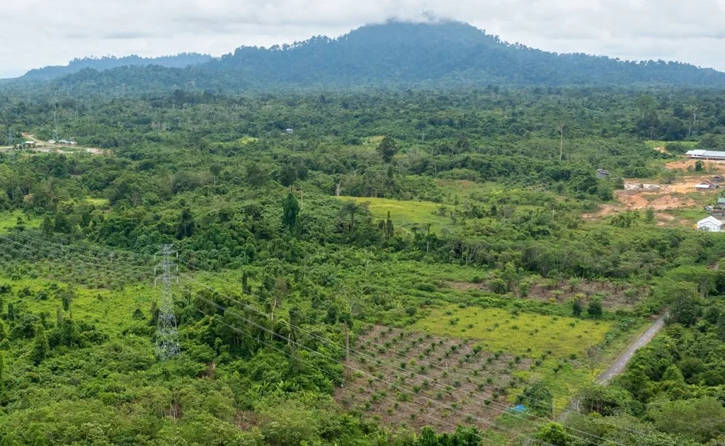 Tampak jalur Saluran Udara Tegangan Tinggi (SUTT) 150 kV Tidang Pale–Malinau yang melintasi wilayah Kalimantan Utara sebagai bagian dari penguatan sistem kelistrikan dan interkoneksi kawasan.