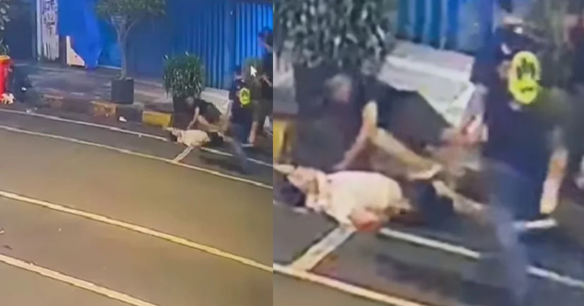 Viral WNA Brunei Tewas Usai Dikeroyok Warga di Jakarta