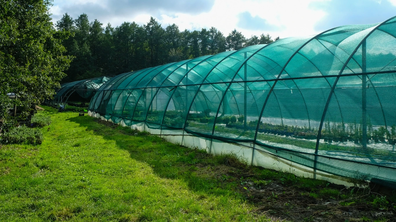 Supplier Paranet Madiun untuk Pembelian Grosir & Skala Besar