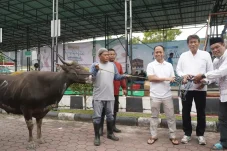 Tebar Semangat Idul Adha, PLN UIP KLT Salurkan 9 Hewan Kurban untuk Masyarakat