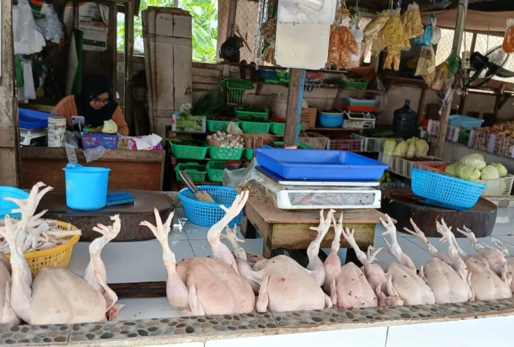 Update Harga Pangan di Berau Hari Ini! Harga Daging Ayam Ras Turun Seribu, Cek Komoditas Lainnya Disini