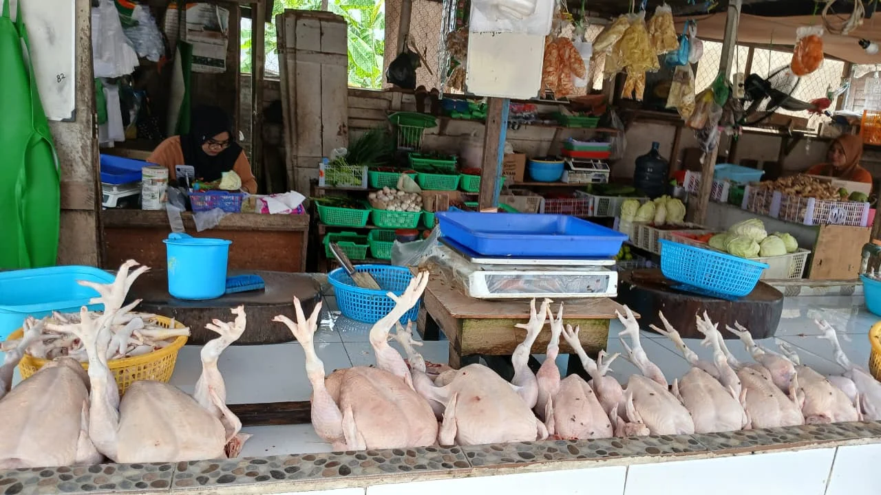 Pasokan Aman 3 Bulan ke Depan, Daging Ayam di Berau Surplus hingga Kirim ke Kaltara