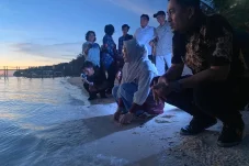 Dukung Konservasi Pulau Wisata, Bupati Berau Lepas Puluhan Tukik di Pantai Green Nirvana Maratua