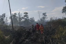 Sinergi Lawan Karhutla, PT Berau Coal Terjunkan Tim ERG Bantu Padamkan Kebakaran di Tumbit Melayu
