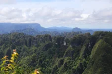 Bukan Cuma Soal Wisata, Status Geopark Nasional Jadi Peluang Emas Produk Lokal Berau