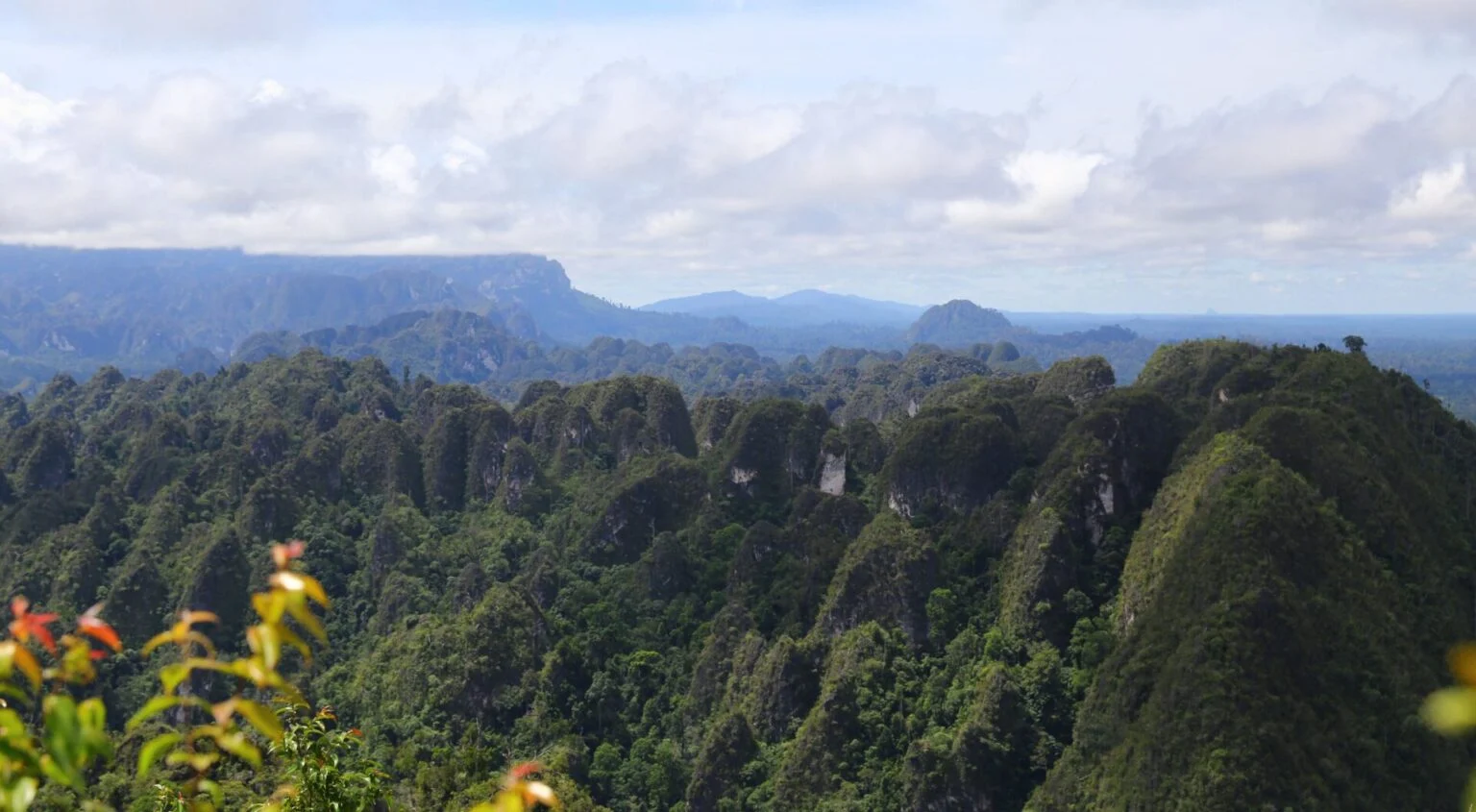 Bukan Cuma Soal Wisata, Status Geopark Nasional Jadi Peluang Emas Produk Lokal Berau