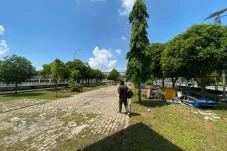 Galeri UMKM Modern Disiapkan di Dermaga Sanggam, Wisatawan Bisa Belanja Sebelum ke Bandara