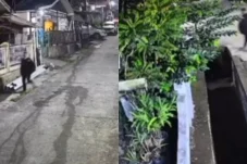 Viral Mahasiswi di Samarinda Kaltim Jadi Korban Penembakan, Polisi Langsung Ringkus Pelaku